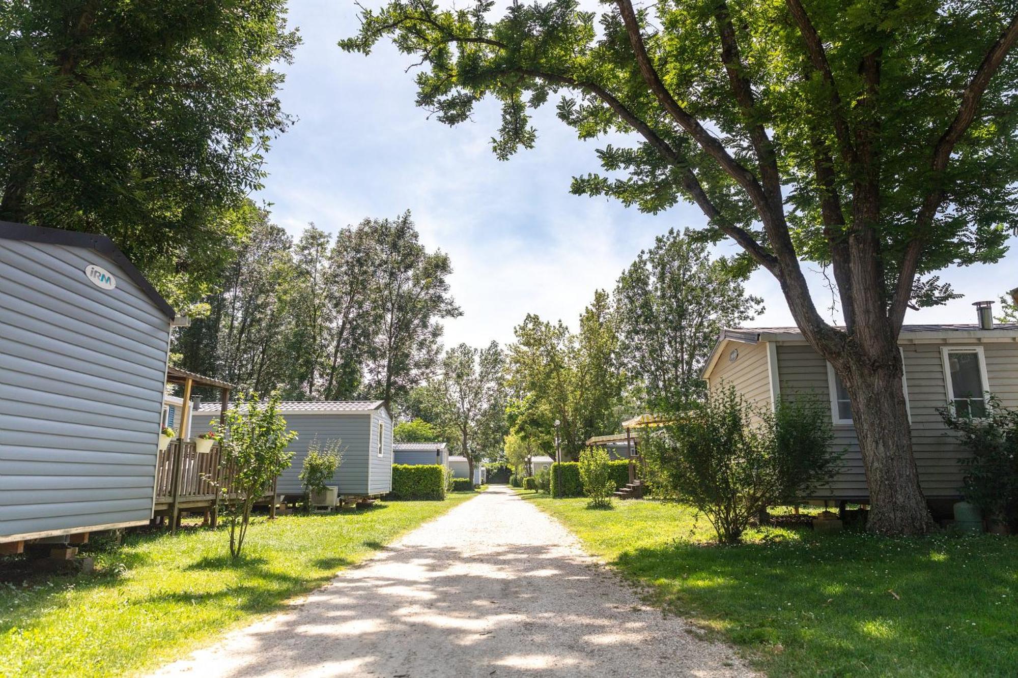 Camping Chateau De Galaure Chateauneuf-de-Galaure Kültér fotó